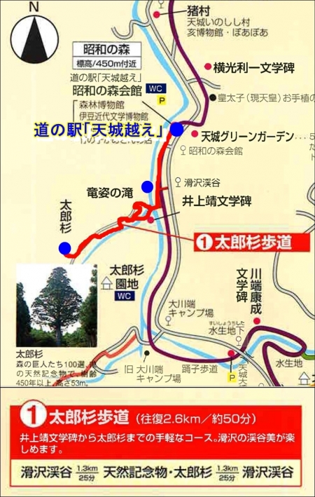 1太郎杉歩道地図
