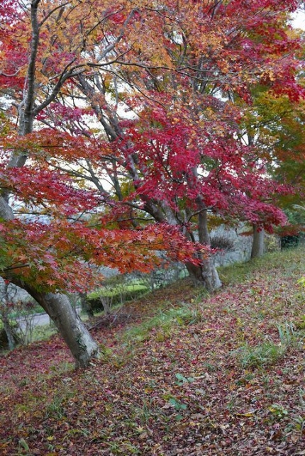 岩本山公園 (3)
