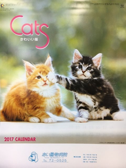 2017猫カレンダー