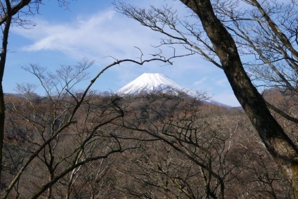 馬場平からの富士山