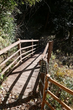 桑の木橋