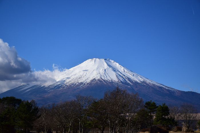 132-山中湖畔からの富士山