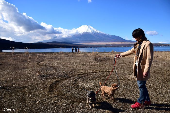 151-New-Emi-山中湖畔からの富士山と愛犬