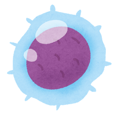 body_cell6_rinpa_t.png