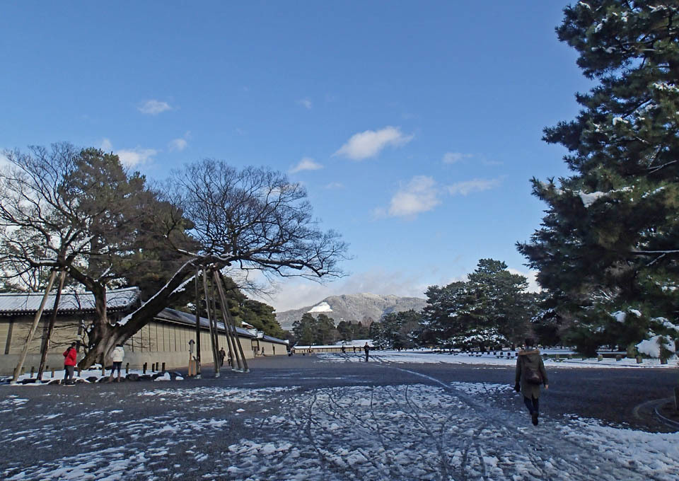 雪が止んだ京都御苑