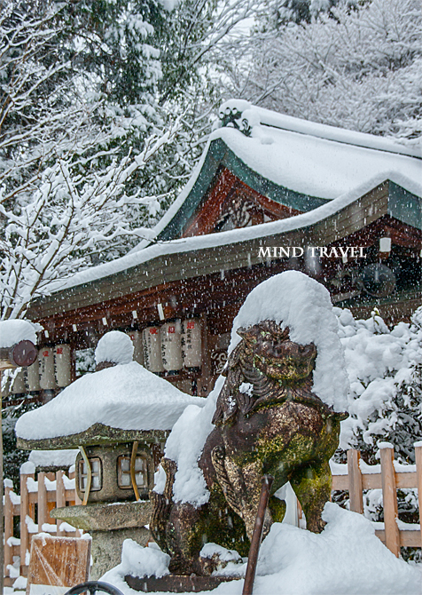 熊野若王子神社　狛犬　雪