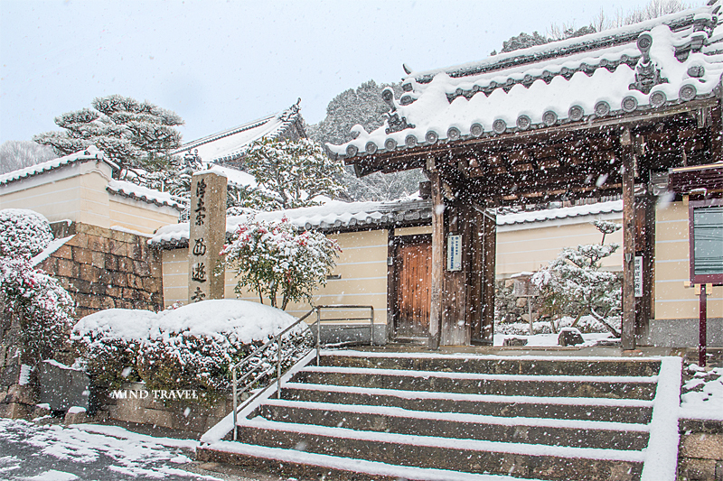 西遊寺　雪