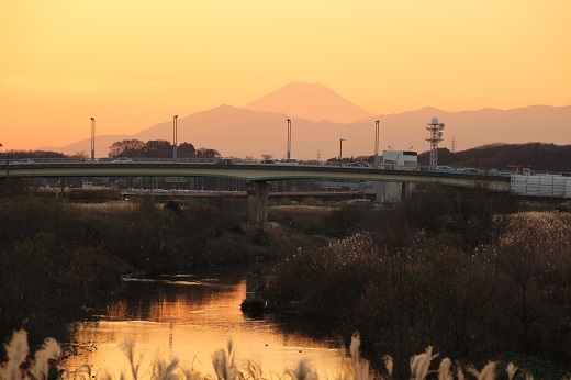 鶴見川土手からの夕焼けに染まる富士山１