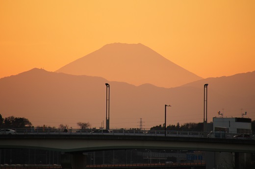 鶴見川土手からの夕焼けに染まる富士山２