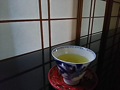 特別栽培の白川茶
