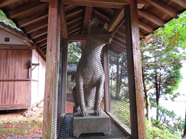 北山稲荷神社　石狐