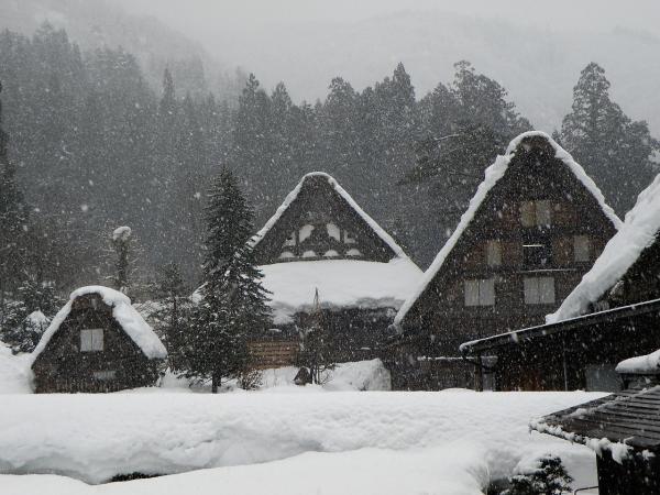 白川郷　雪が降る中に見える合掌造りの家