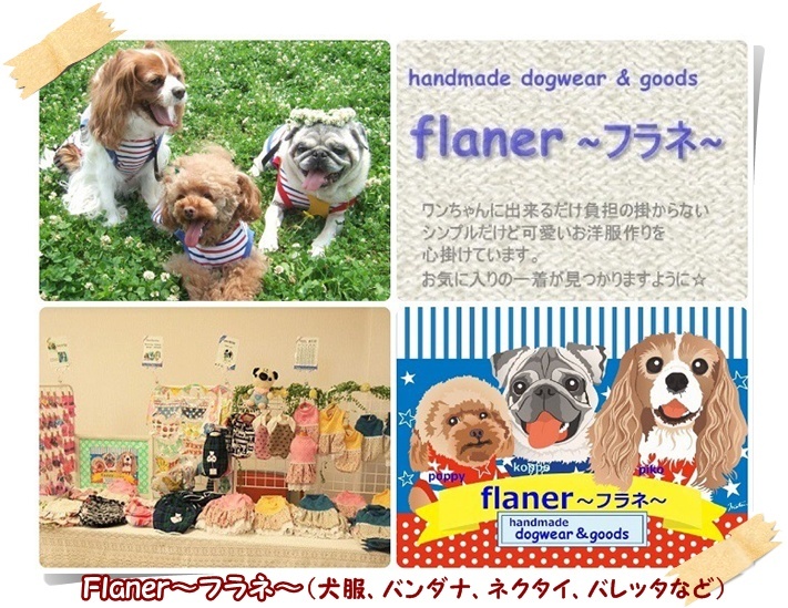 flaner_20170130213631752.jpg