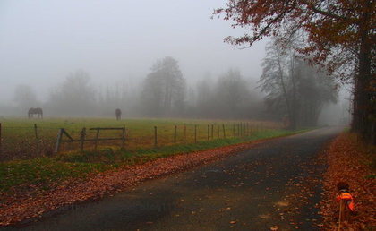 霧散歩